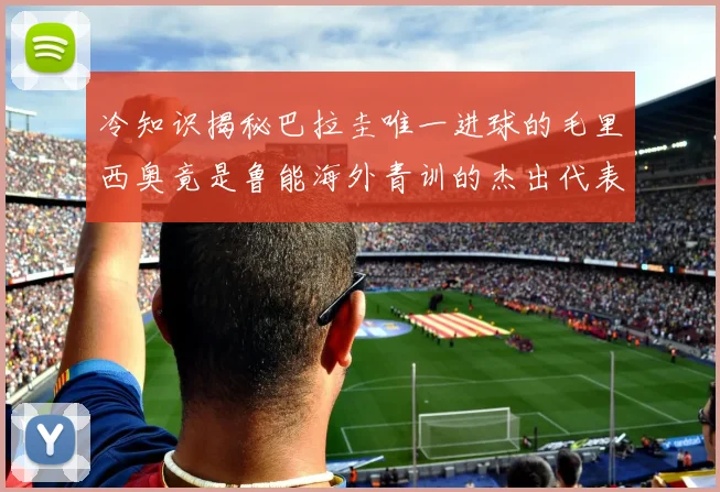冷知识揭秘巴拉圭唯一进球的毛里西奥竟是鲁能海外青训的杰出代表