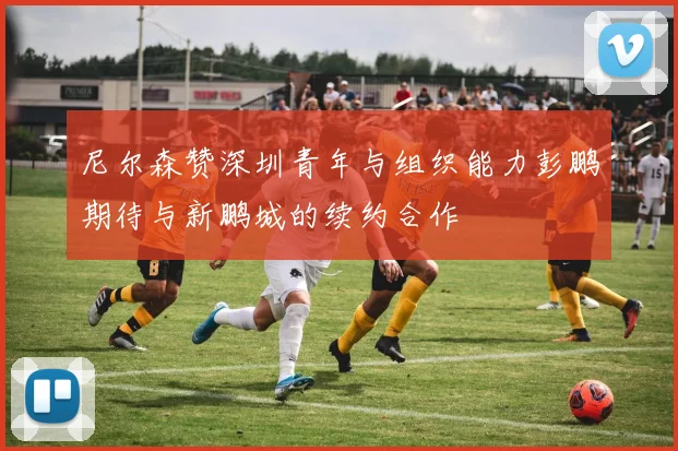 尼尔森赞深圳青年与组织能力彭鹏期待与新鹏城的续约合作