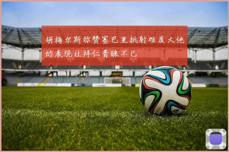 胡梅尔斯称赞塞巴里挑射难度大他的表现让拜仁青睐不已